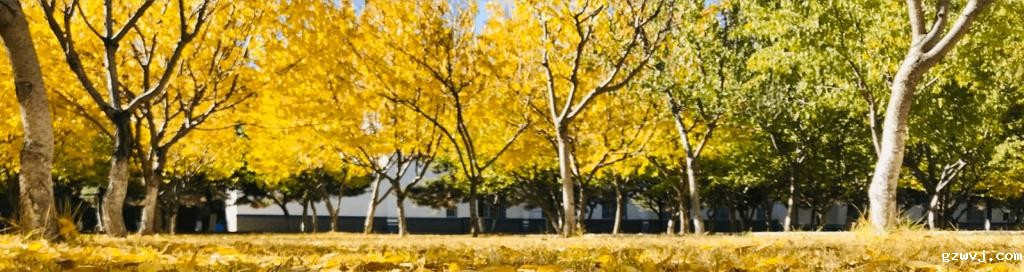 呼伦贝尔大草原